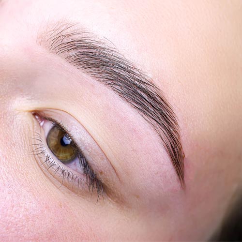 Brows and lamination results in Houston, TX